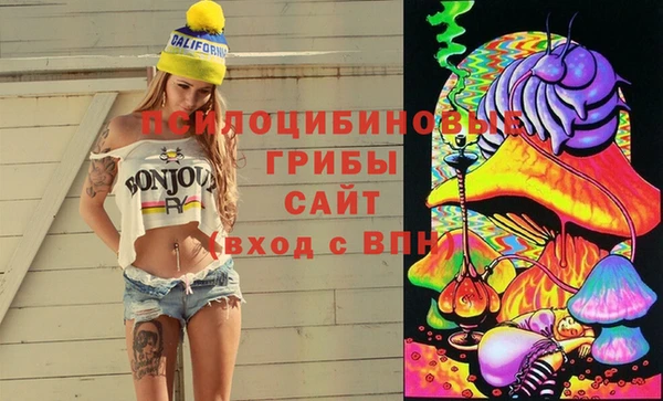 меф Белокуриха