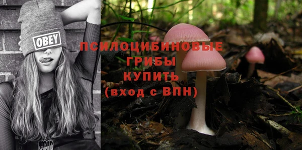 а пвп мука Беломорск